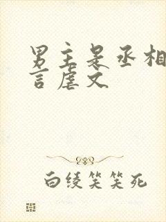 男主是丞相的古言虐文