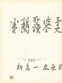 小说圣墟手机免费阅读全文