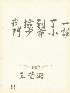 我捡到了一对豪门少爷小说免费阅读