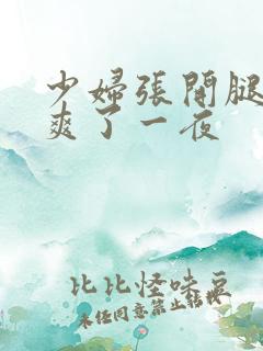 少妇张开腿让我爽了一夜