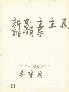 新民主主义革命谁领导