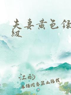 夫妻黄色录像一级