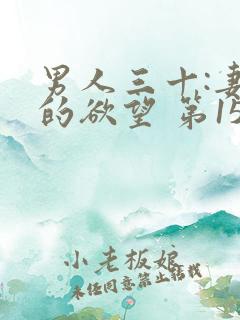 男人三十:妻子的欲望 第151章