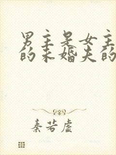 男主是女主姑姑的未婚夫的小说