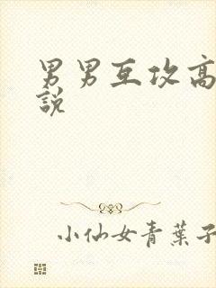 男男互攻高h小说