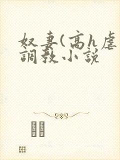 奴妻(高h虐身调教小说