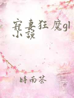 宠妻狂魔gl 小说