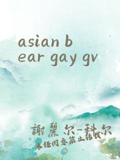 asian bear gay gv