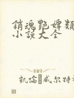 销魂艳婢类似的小说大全