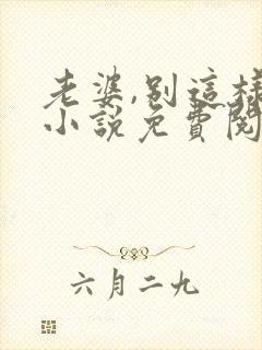 老婆,别这样 小说免费阅读