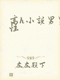 高h小说男男双性