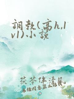 调教(高h,1v1)小说