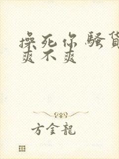 操死你 骚货 爽不爽