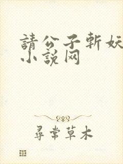 请公子斩妖无错小说网