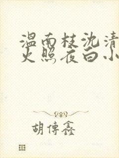 温南枝沈清宴烟火照夜白小说