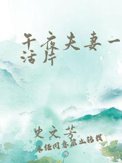 午夜夫妻一级生活片