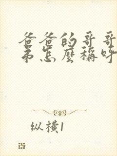 爸爸的哥哥和弟弟怎么称呼