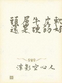 头层牛皮软的好还是硬的好