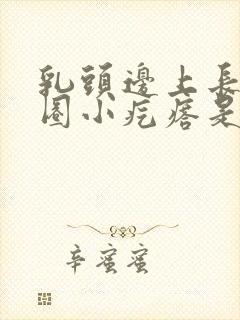 乳头边上长了一圈小疙瘩是咋回事