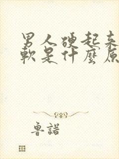 男人硬起来容易软是什么原因