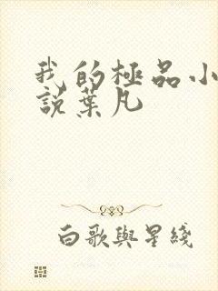 我的极品小姨小说叶凡