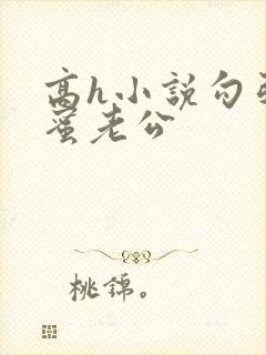 高h小说勾引闺蜜老公