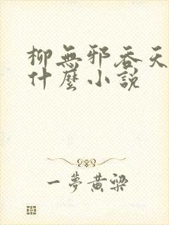 柳无邪吞天神鼎什么小说