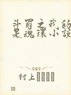斗罗之我的武魂是魂环小说阅读全部