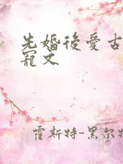 先婚后爱古代甜宠文