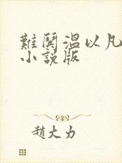 难哄温以凡桑延小说版