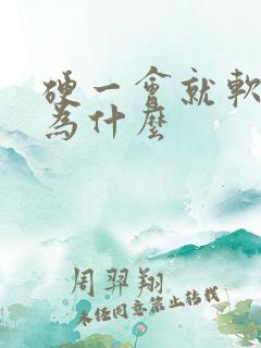 硬一会就软了是为什么