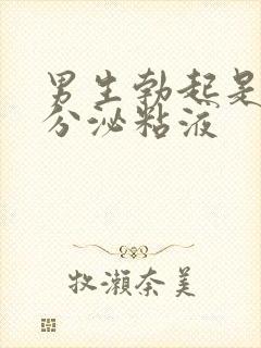 男生勃起是出现分泌粘液