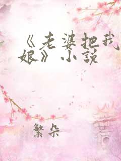 《老婆把我变伪娘》小说