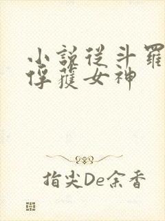 小说从斗罗开始俘获女神