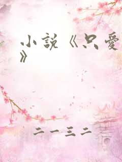 小说《只爱不婚》