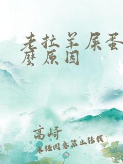 老拉羊屎蛋是什么原因