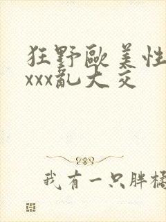 狂野欧美性猛xxxx乱大交