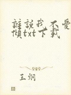 谁说我不爱你北倾txt下载