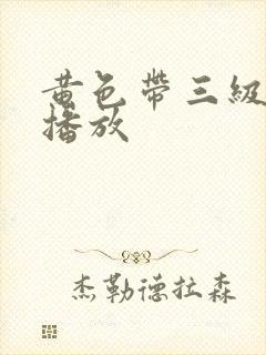 黄色带三级在线播放