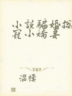 小说骗婚总裁独宠小娇妻