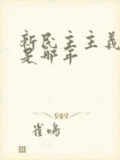 新民主主义革命是哪年