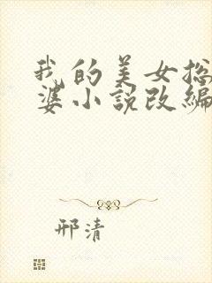 我的美女总裁老婆小说改编