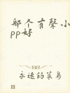 哪个有声小说app好