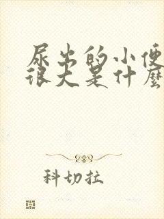 尿出的小便味道很大是什么原因