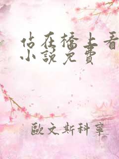 站在桥上看风景小说免费