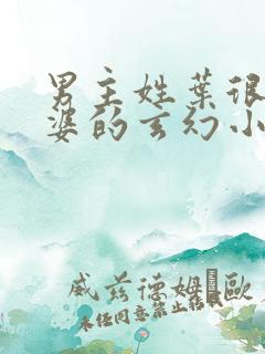 男主姓叶很多老婆的玄幻小说