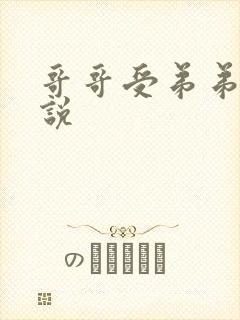 哥哥受弟弟攻小说