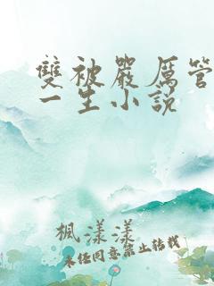 双被严厉管教的一生小说