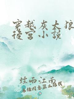 穿越灰太狼风流后宫小说