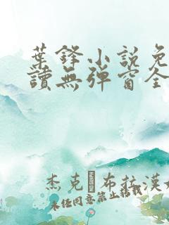 叶锋小说免费阅读无弹窗全文